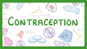 Read more about the article Contraception. 