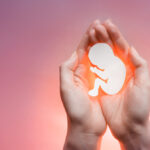 Main differences between the types of abortion. 