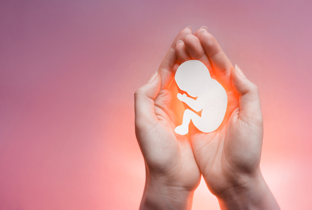 Read more about the article Main differences between the types of abortion. 