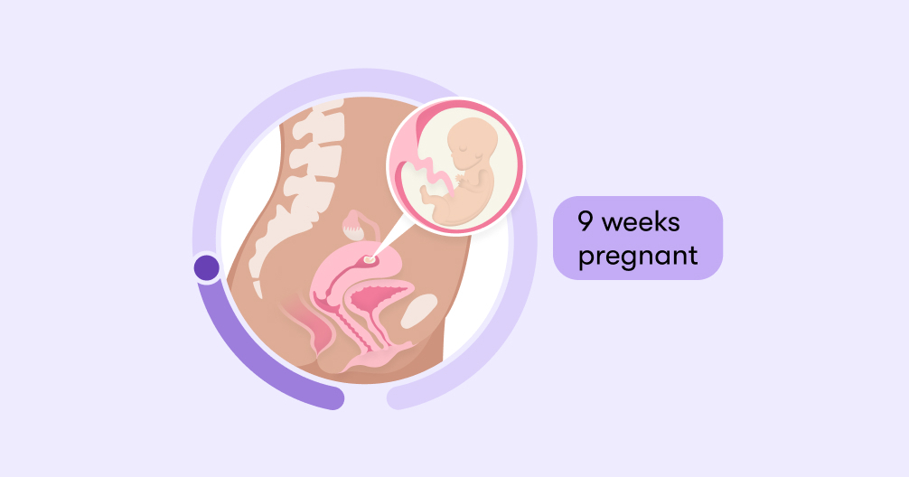Read more about the article Terminating a 9-Week Pregnancy in Kenya  