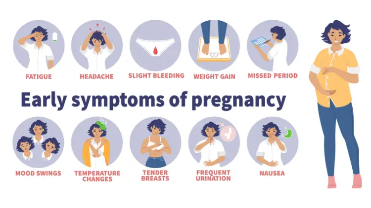 Read more about the article Early Pregnancy Symptoms 
