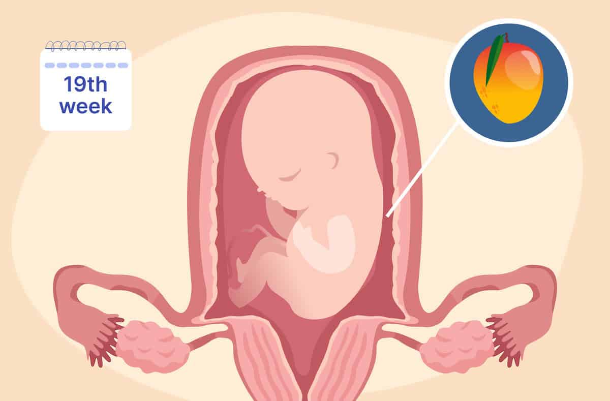Read more about the article How to Safely Terminate a 19-Week Pregnancy