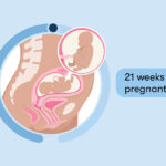Understanding 21-Week Pregnancy Termination: What You Need to Know