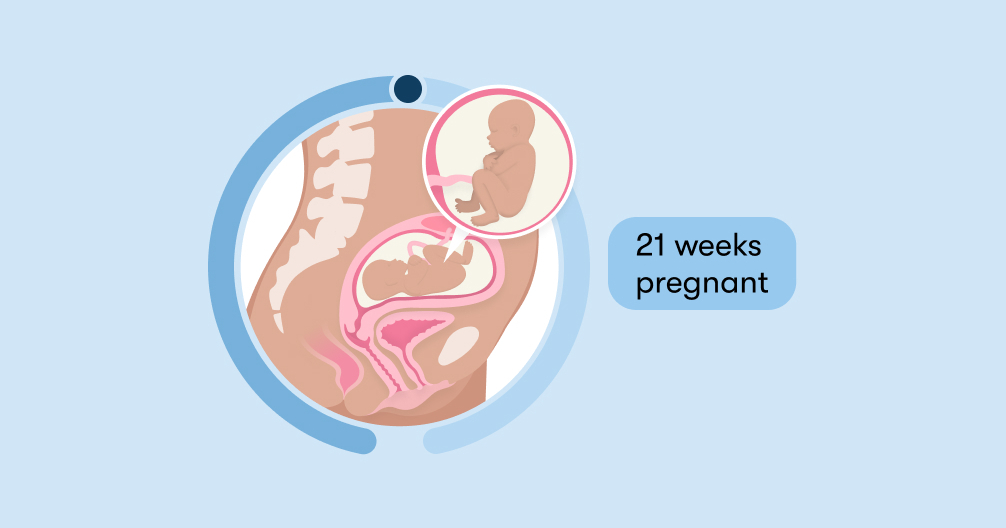 Read more about the article Understanding 21-Week Pregnancy Termination: What You Need to Know